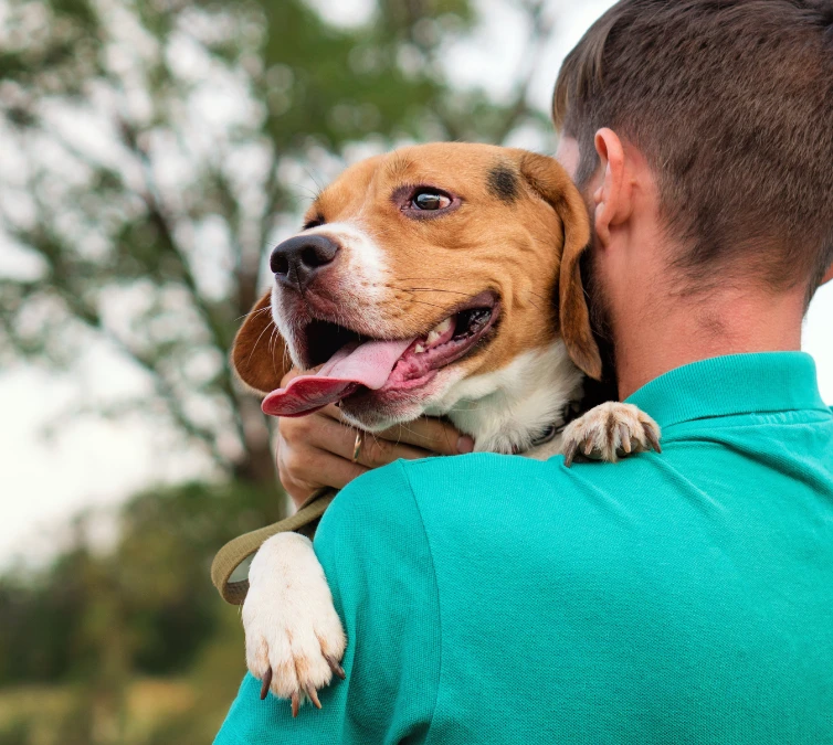 Dog emotional support training in Minneapolis & St. Paul by The City Canine.