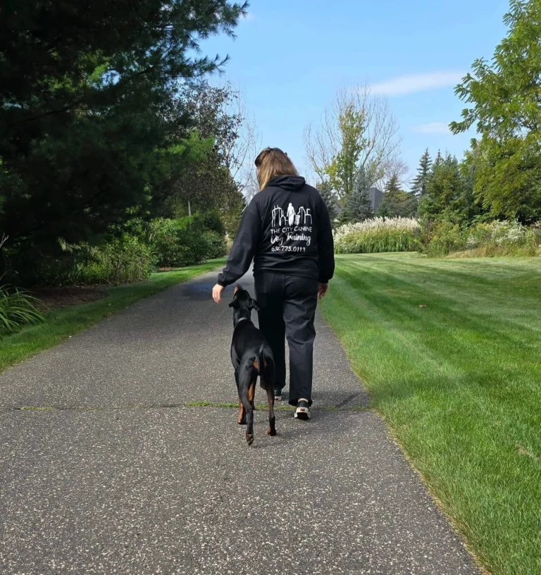 Contact The City Canine for expert dog training services in Minneapolis and St. Paul, MN,